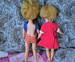 2 hk penny brite bk